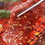 Мясо для вегетарианцев создали ученые из Германии