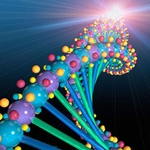 Ген сахарного диабета поддается контролю