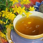 Зверобой: полезные свойства и противопоказания