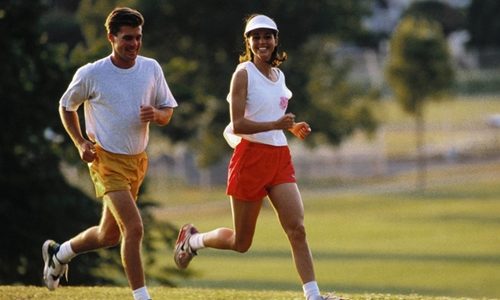 Спорт для начинающих