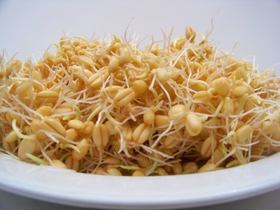 Лучше всего есть пшеницу утром