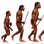 Ученые поведали о диете первобытных людей