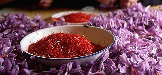Свойства шафрана. Для чего он необходим?