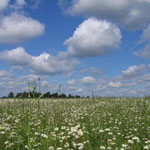 Здоровое питание способно помочь в…благоприятном изменении климата