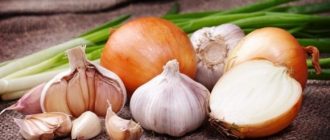 Полезные свойства лука