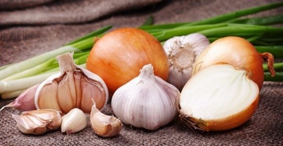 Полезные свойства лука