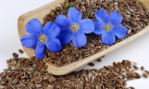 Семена льна для похудения