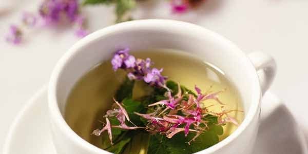 Иван-чай: полезные свойства и противопоказания