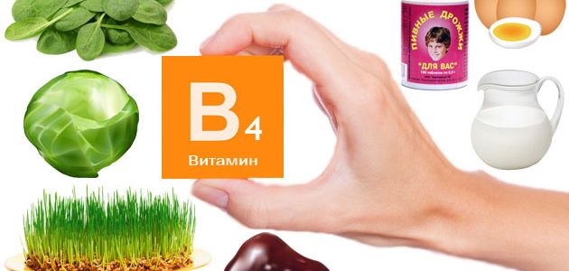 Витамин В4
