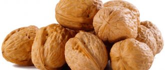 Какие орехи самые полезные?