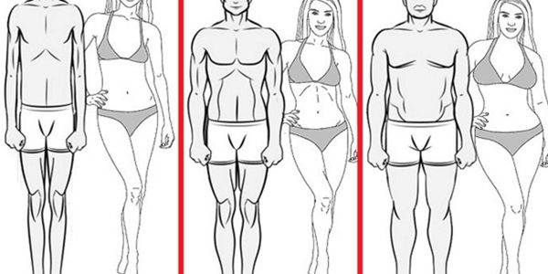 Типы телосложения: эктоморф, мезоморф, эндоморф